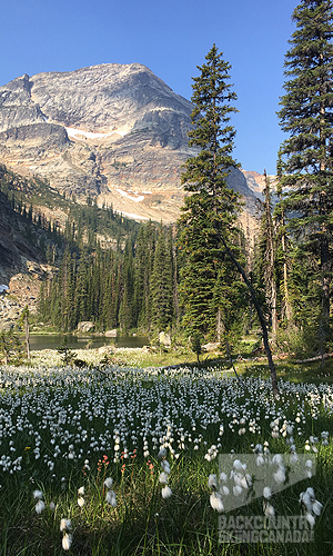 Gwillim Lakes