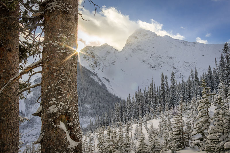 backcountry skiing conditions