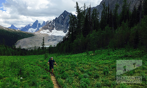 The Rock Wall Trail