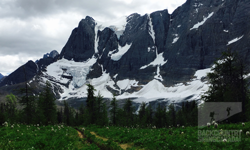 The Rock Wall Trail