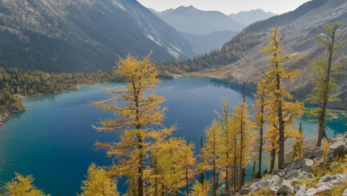 Purcell wilderness
