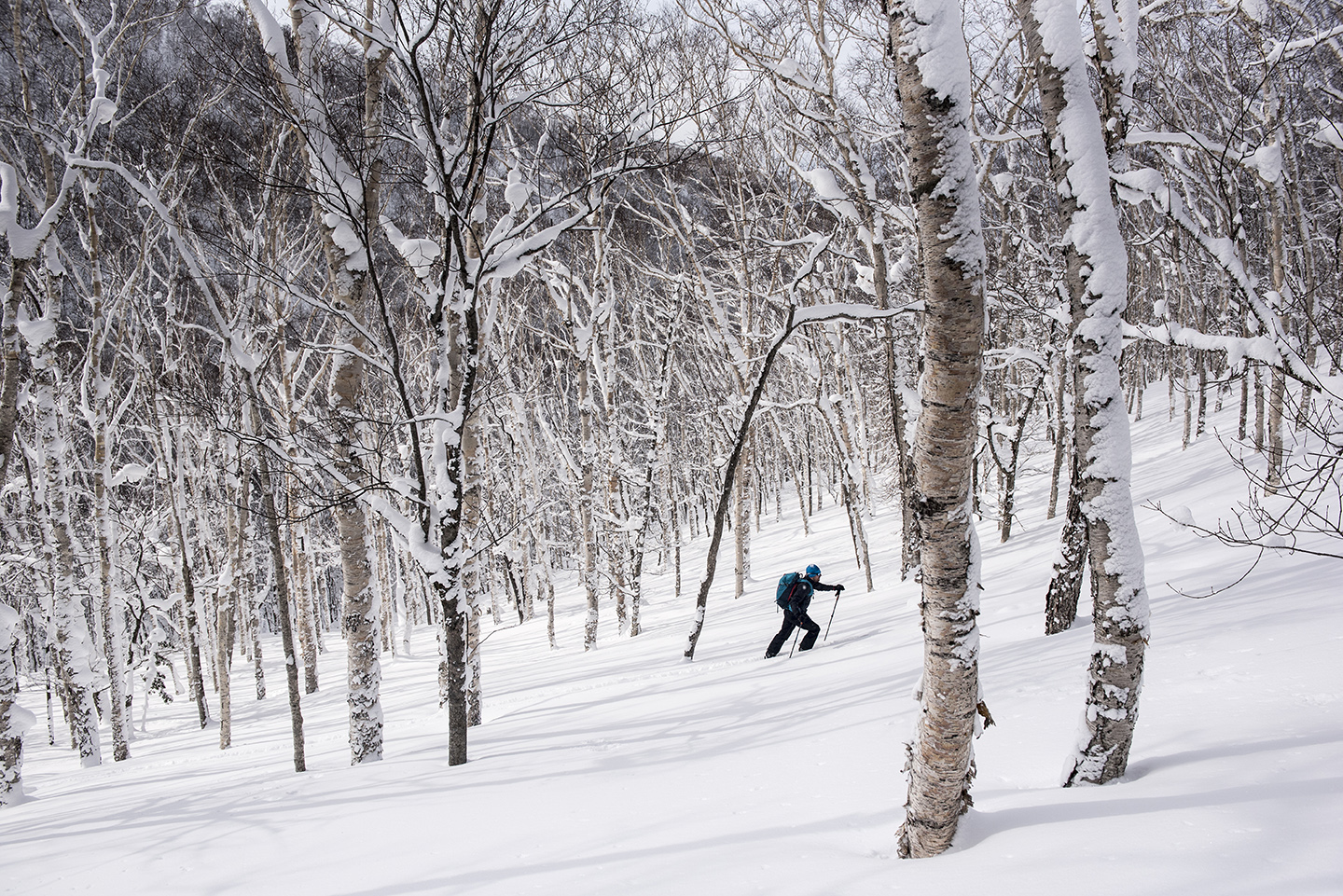 SnowLocals