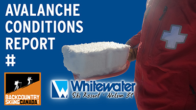 The Latest Avalanche Conditions Report - VIDEO