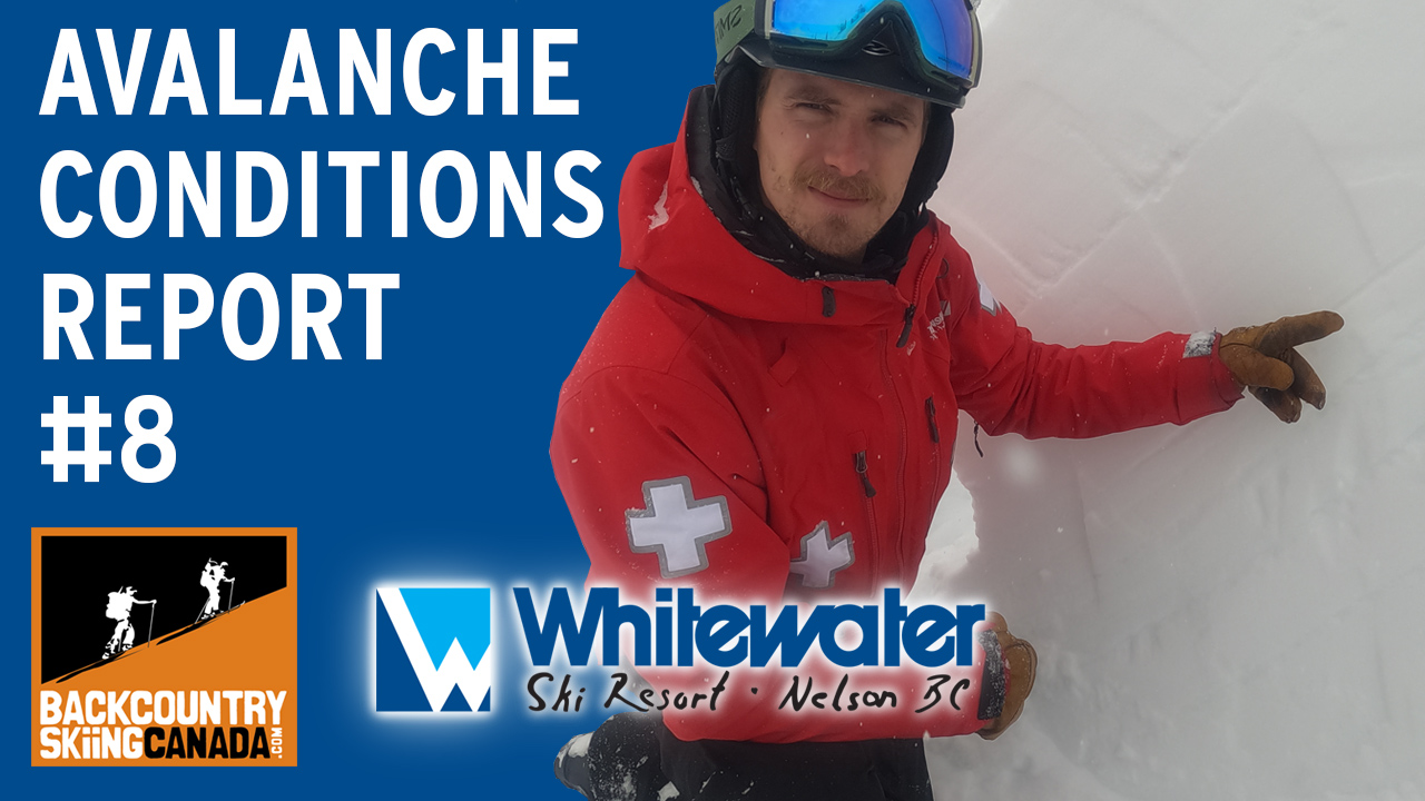 Avalanche Conditions Report Feb 4th 2021 - VIDEO