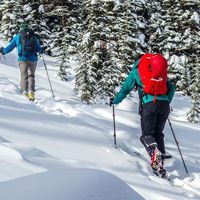 Shocking Skiers Into Safety