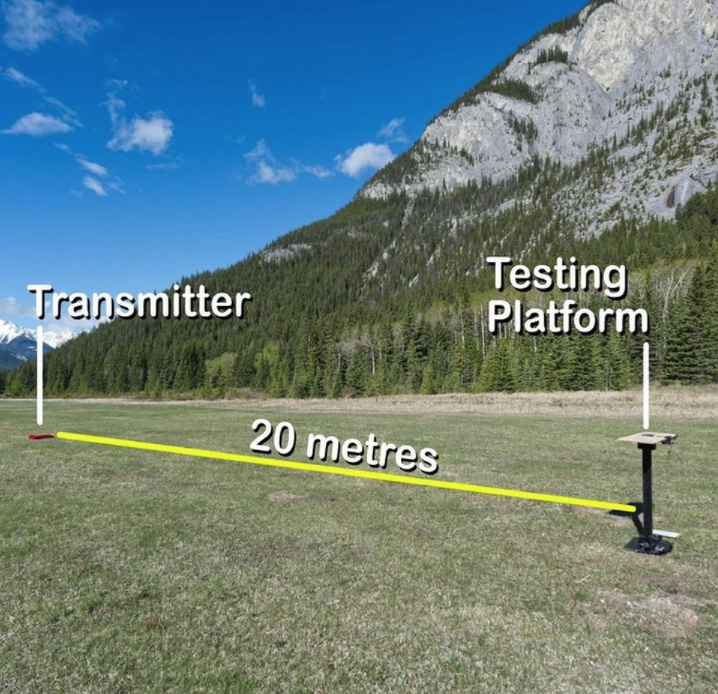 Avalanche Transceiver Interference—is it real?
