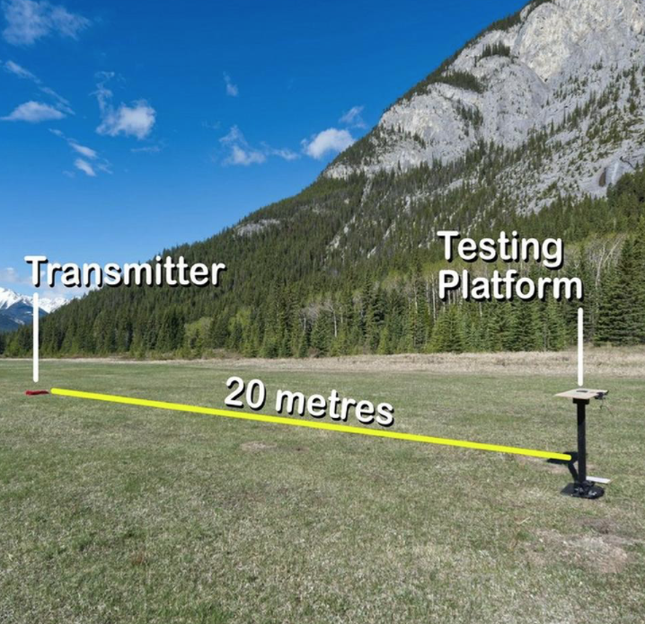 Avalanche Transceiver Interference