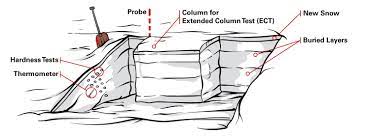 Exrended-Column-Test