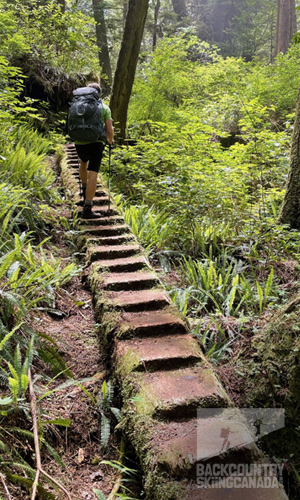 Juan De Fuca Trail