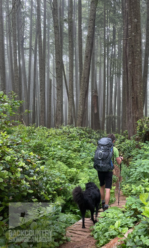 Juan De Fuca Trail