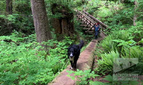 Juan De Fuca Trail