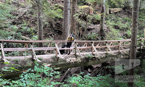 Juan De Fuca Trail