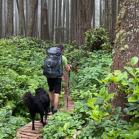 Juan De Fuca Trail