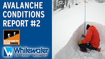 Avalanche Conditions Report #2