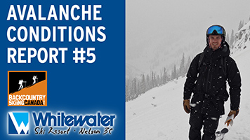 Avalanche Conditions Report #5 - VIDEO