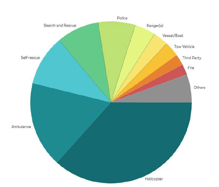 Garmin inReach SOS Report 