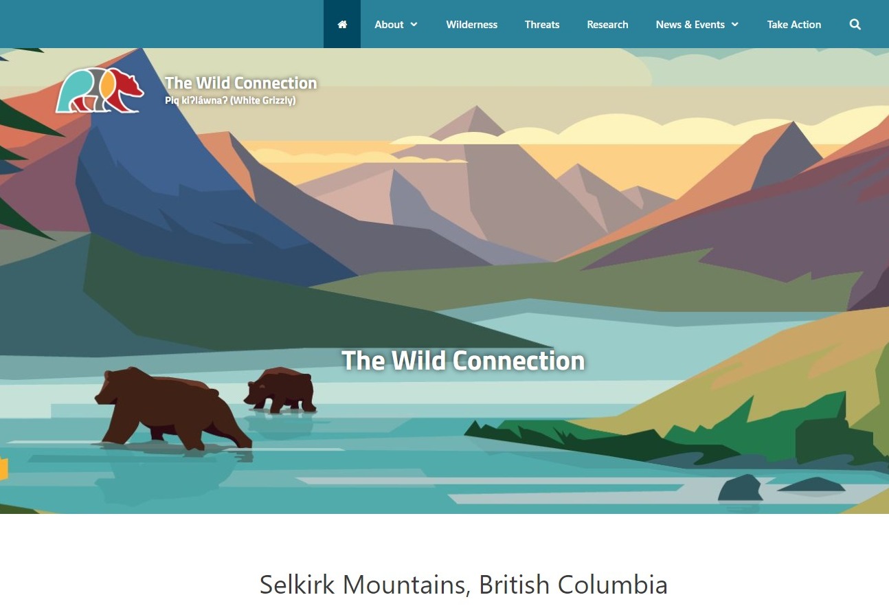 The Wild Connection. Important New Website Launch