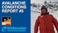 Avalanche Conditions Report #5 - VIDEO