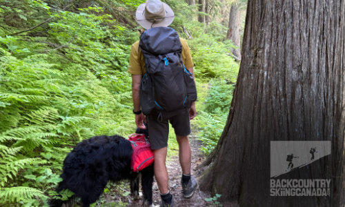Gregory Focal 58L Backpack