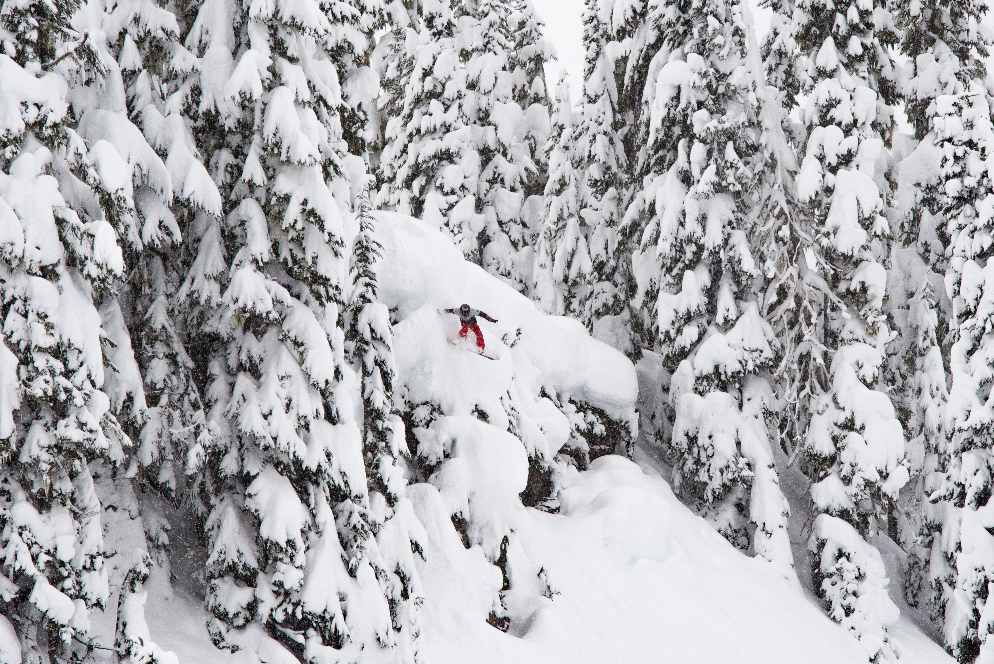 Dropping in - Photo Credit Teague Chrustie Photography