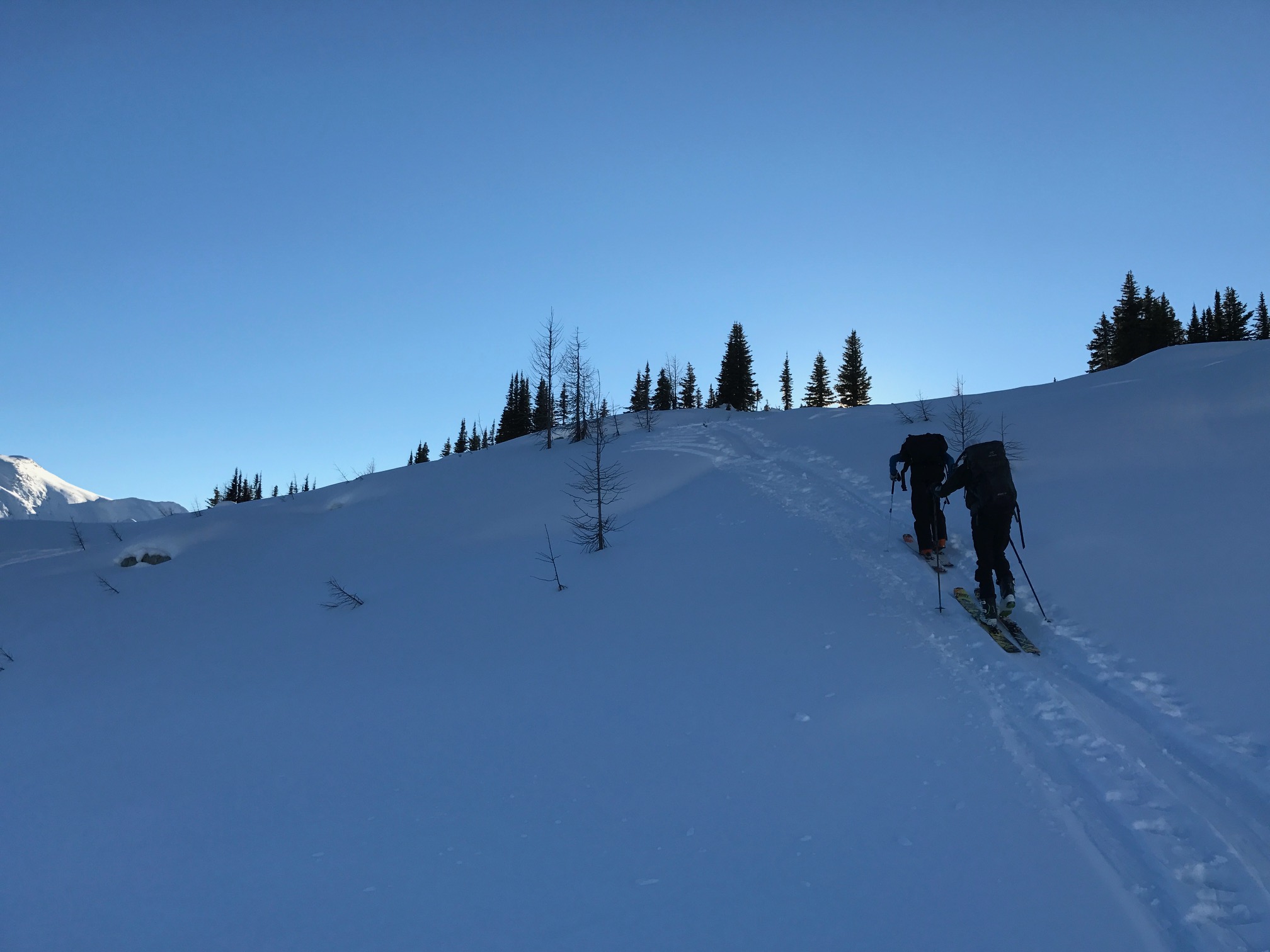 Backcountry Skiing Jumbo