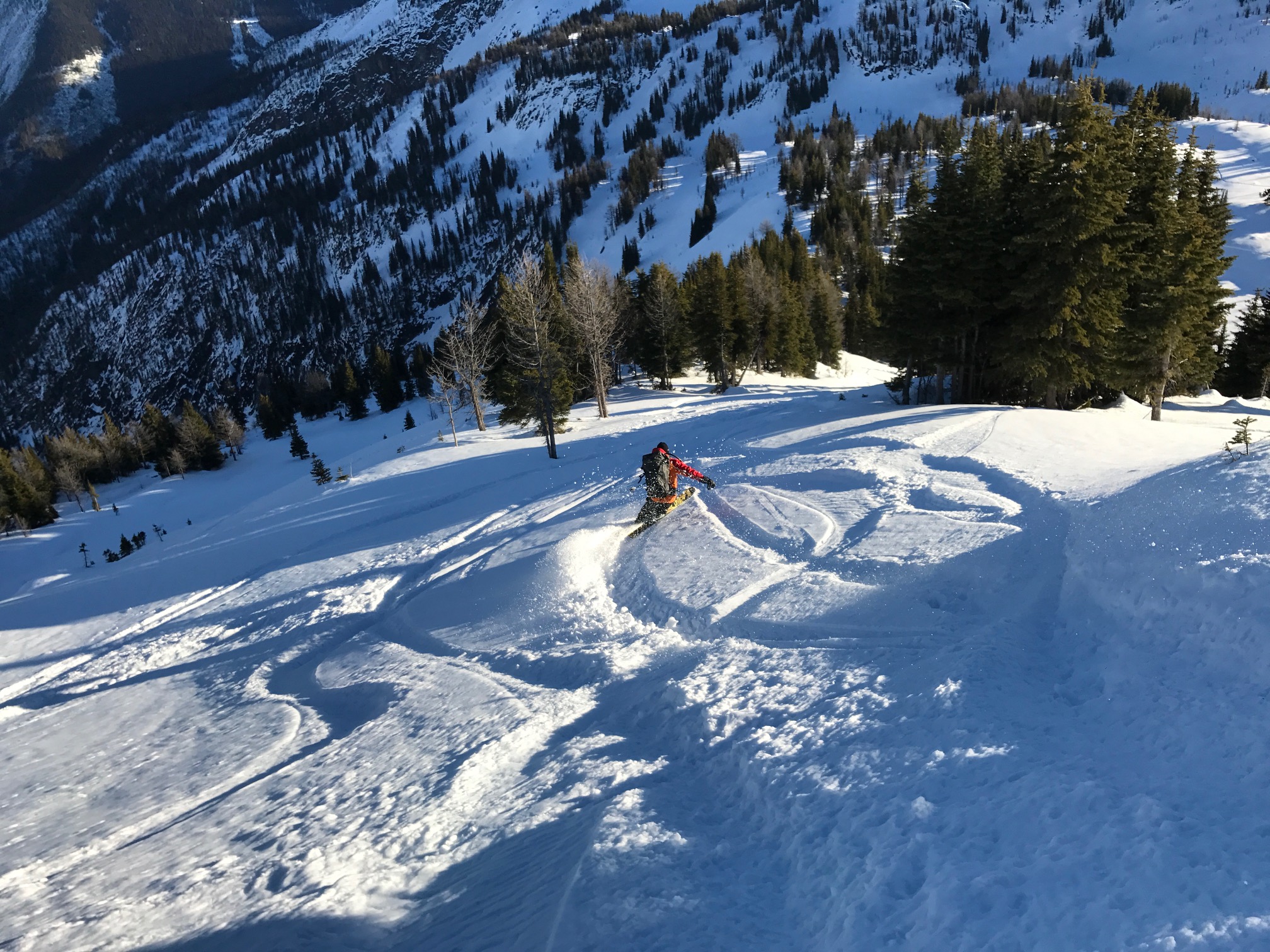 Backcountry Skiing Jumbo