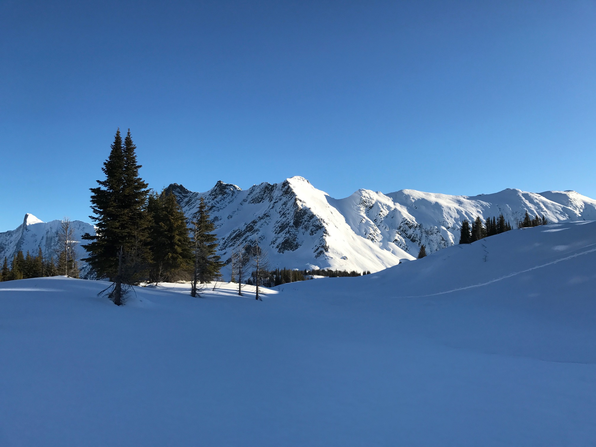 Backcountry Skiing Jumbo