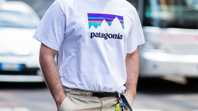 PATAGONIA FOUNDER TRANSFERS ALL COMPANY PROFITS TOWARD FIGHTING CLIMATE CHANGE