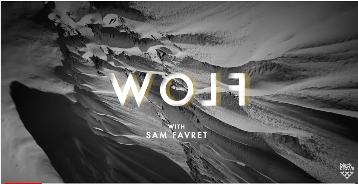 Wolf with Sam Favret